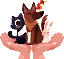Animal Charities
